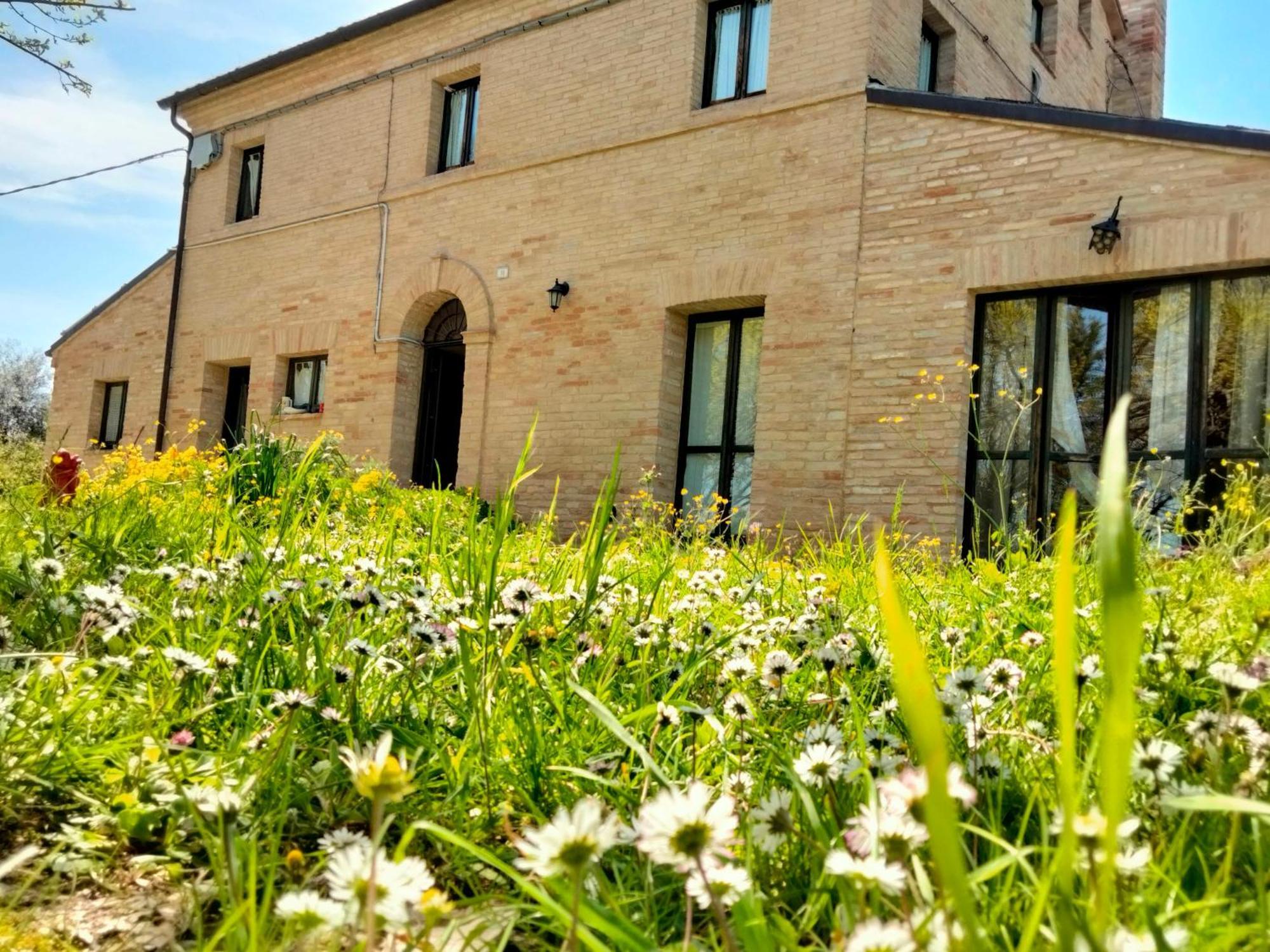 Agriturismo Campo Aperto Belvedere Ostrense Exterior foto